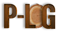p - lg logo on a black background